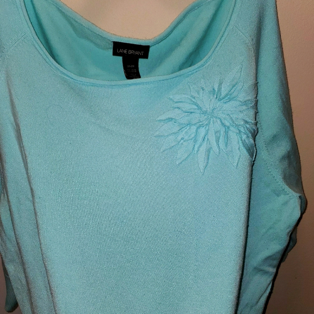 Lightweight Lane Bryant Embellished Sweater